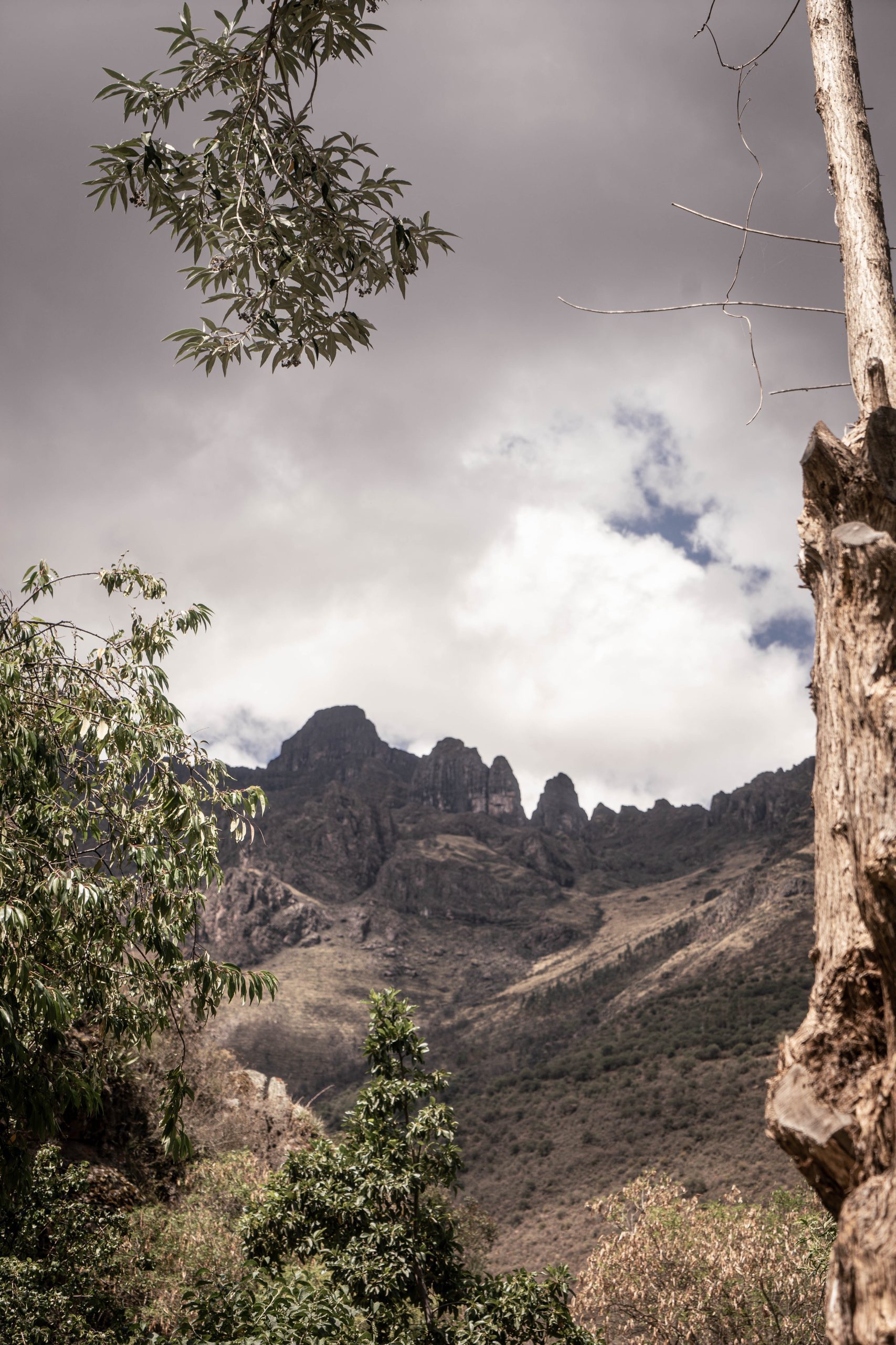 San Pedro ceremony (Peru Sacred Journeys)
