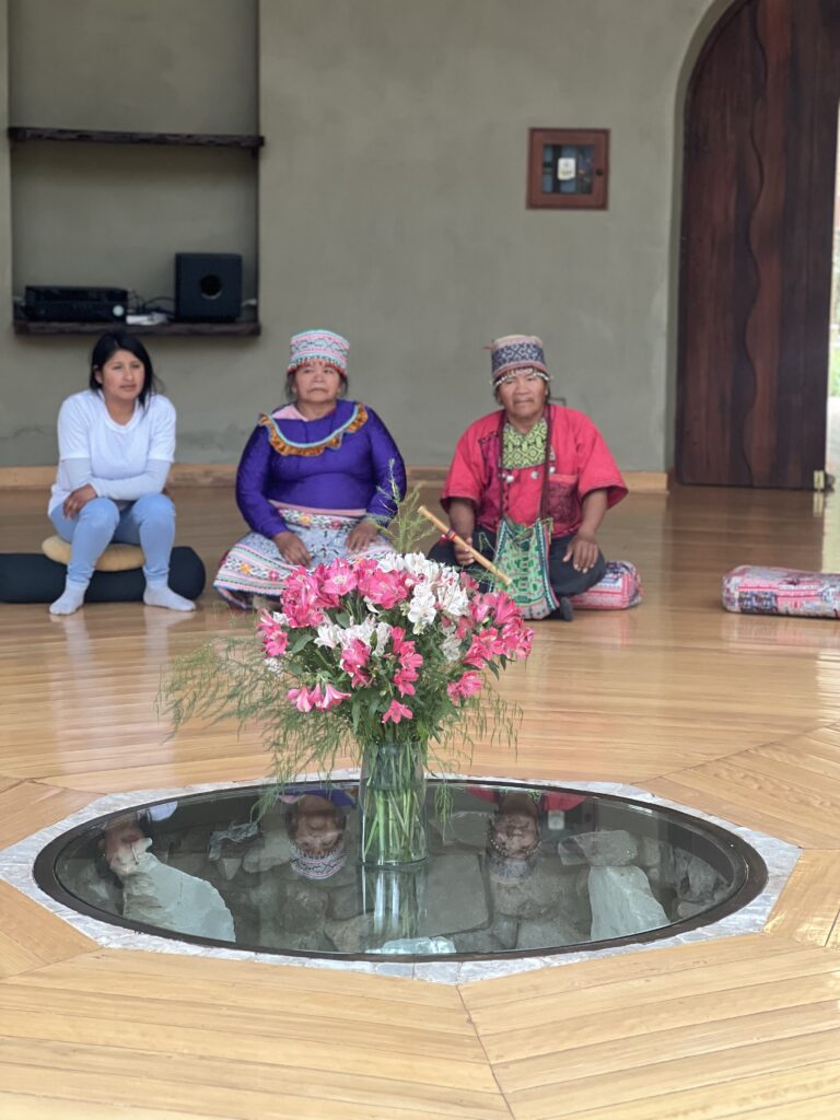 Full day Ayahuasca ceremony