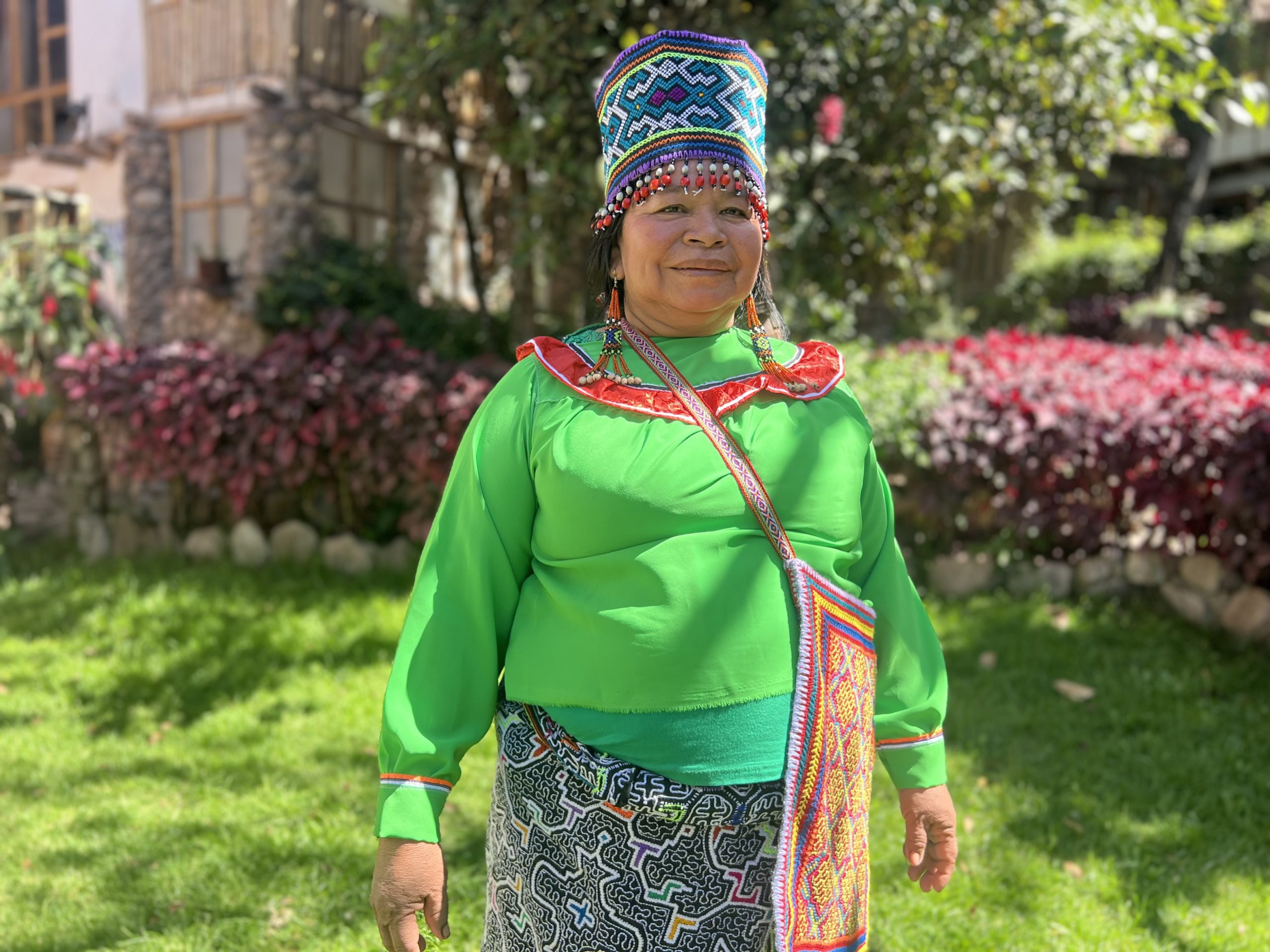 Plant Medicine, Ayahuasca and San Pedro