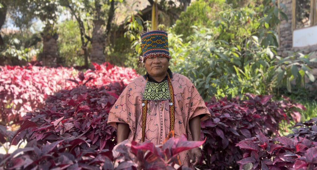 Ayahuasca full day ceremony